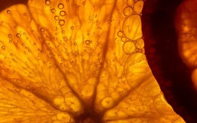 Natural Antioxidants for Skin Care