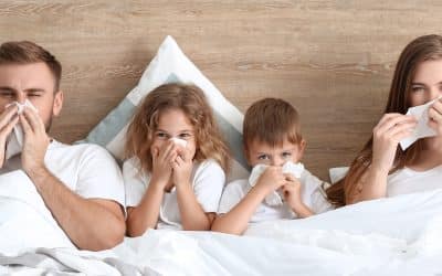 Dust Mite Allergy: Causes and Remedies